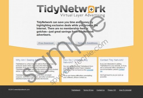 Tidy Network Removal Guide