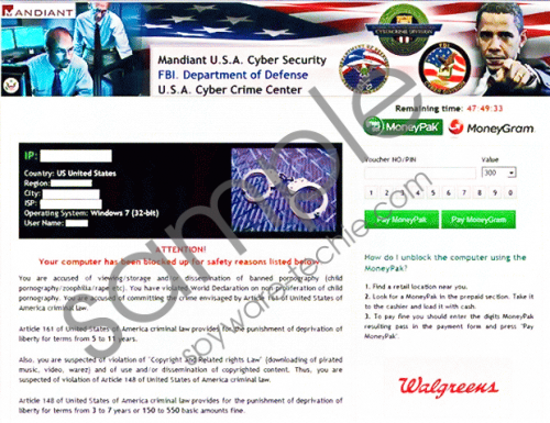 Mandiant U.S.A. Cyber Security Virus Removal Guide
