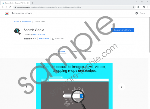 Search Genie Removal Guide