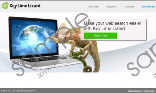 Key Lime Lizard Removal Guide