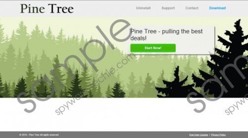 Pine Tree Removal Guide