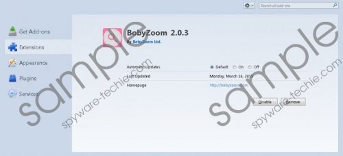 BobyZoom Removal Guide