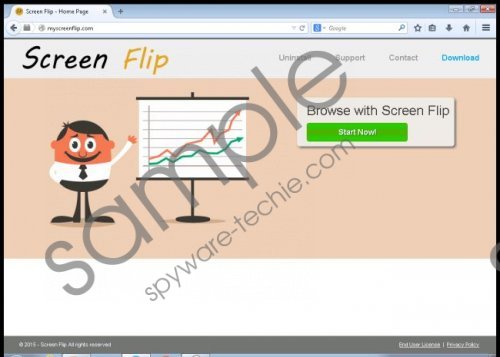 Screen Flip Removal Guide