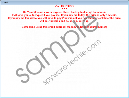 Salam Ransomware Removal Guide