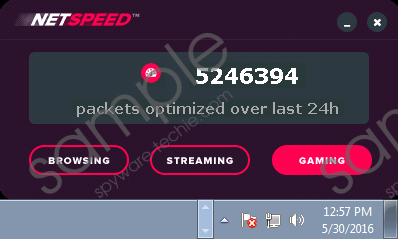NetSpeed Removal Guide