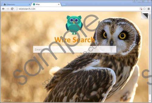 Wizesearch.com Removal Guide