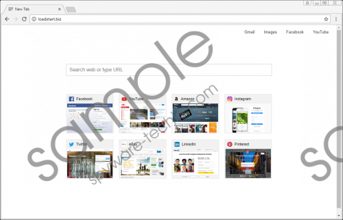 Loadstart.biz Removal Guide