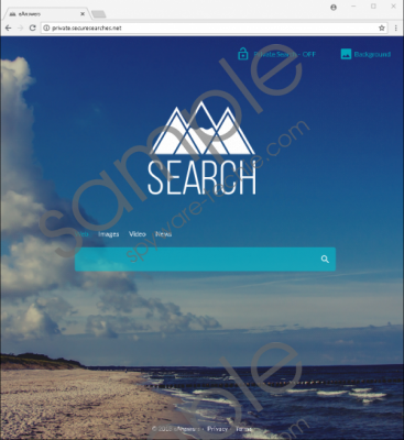 Private.securesearches.net Removal Guide