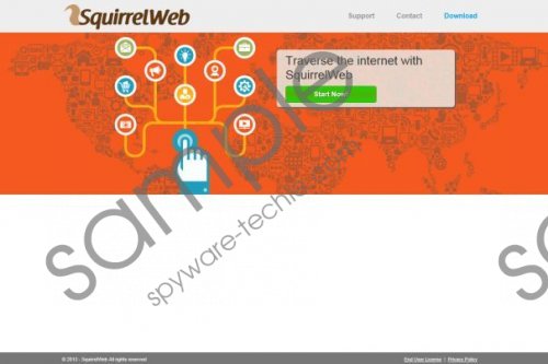 Squirrel Web Removal Guide
