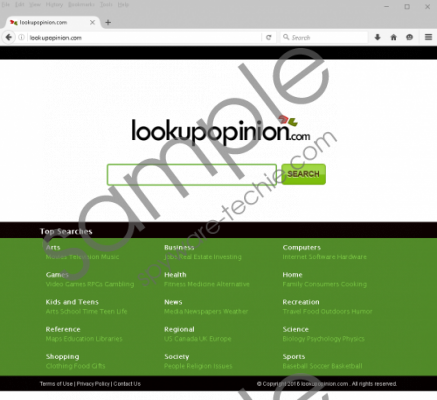 Lookupopinion.com Removal Guide