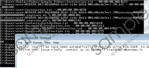 RSA2048Pro Ransomware Removal Guide