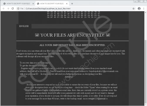 Bepabepababy Ransomware Removal Guide